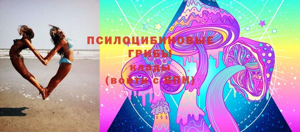скорость Сосновка