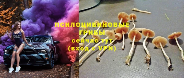 скорость Сосновка