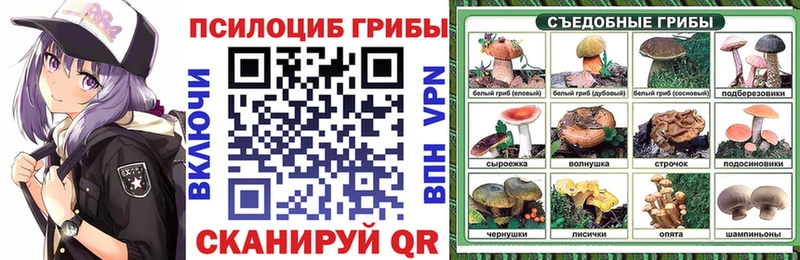 Галлюциногенные грибы Psilocybine cubensis  гидра tor  Жуковский 