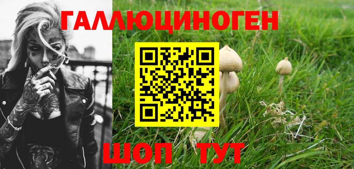 закладки  Вход с VPN  Жуковский  Галлюциногенные грибы Cubensis 